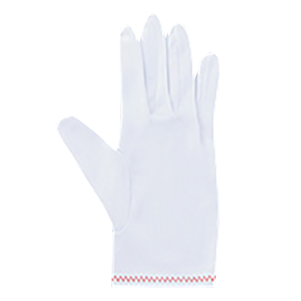 品質管理手袋（ナイロンダブル） L 10双入