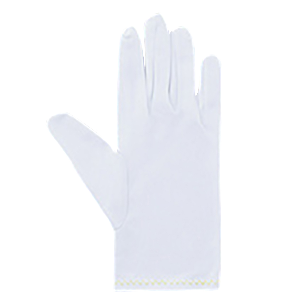 品質管理手袋（ナイロンダブル） LL 10双入