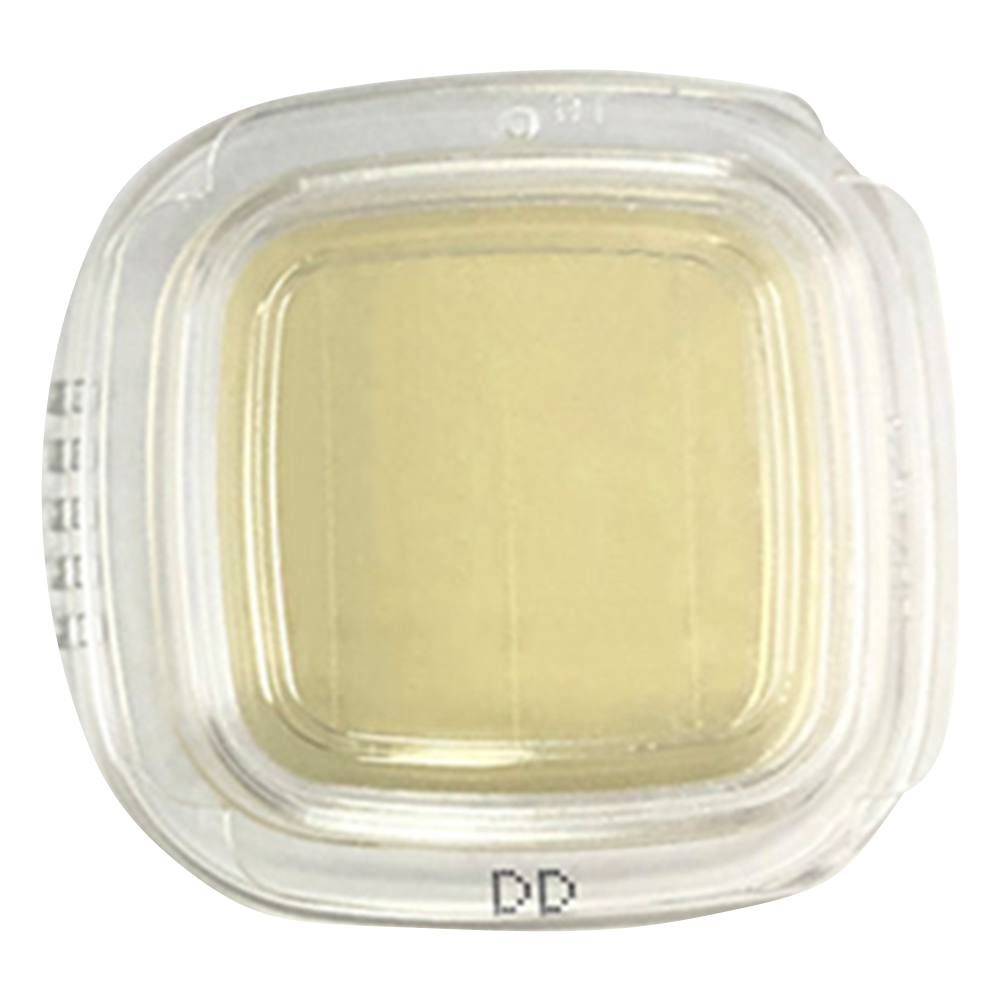 DDチェッカー（細菌検出用培地） DD寒天培地 一般細菌検出用 1箱（100枚入） 04201