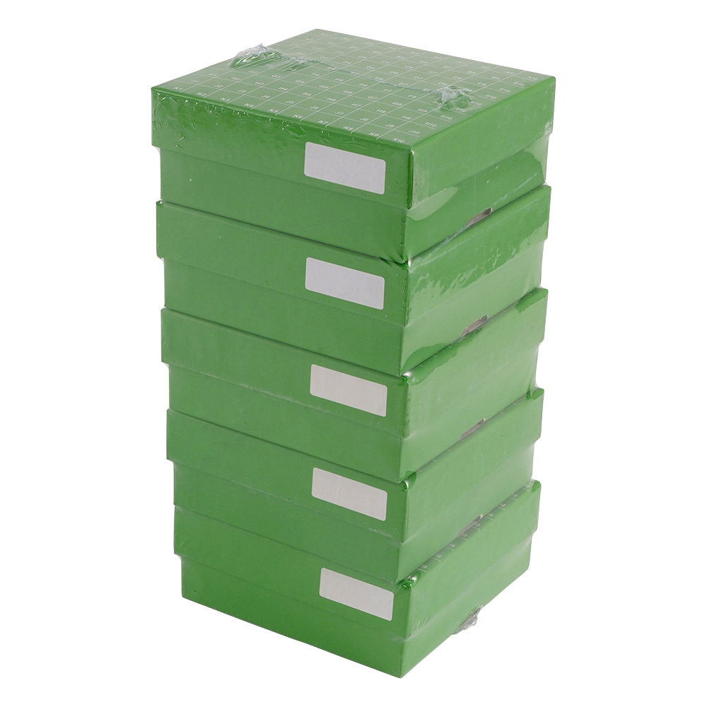 ヒンジ開閉フリーザーボックス（10×10） 緑 5個入 R2700-G