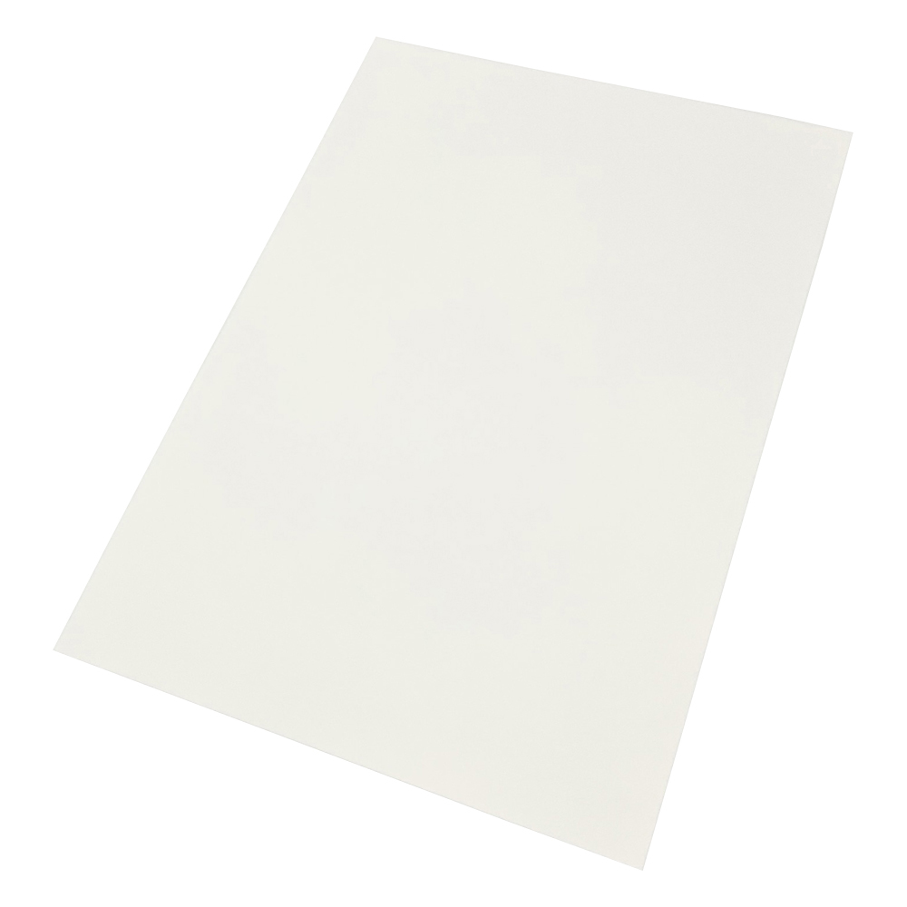 レーザープリンタ用耐水紙（PET タイプ） A3 100枚入 S3885-59