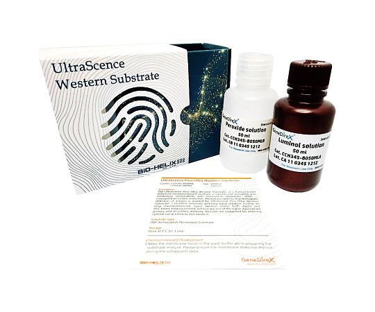 ウェスタンブロット検出試薬 picoレベル検出用基質 A液/B液各50mL入 CCH345-B100ML
