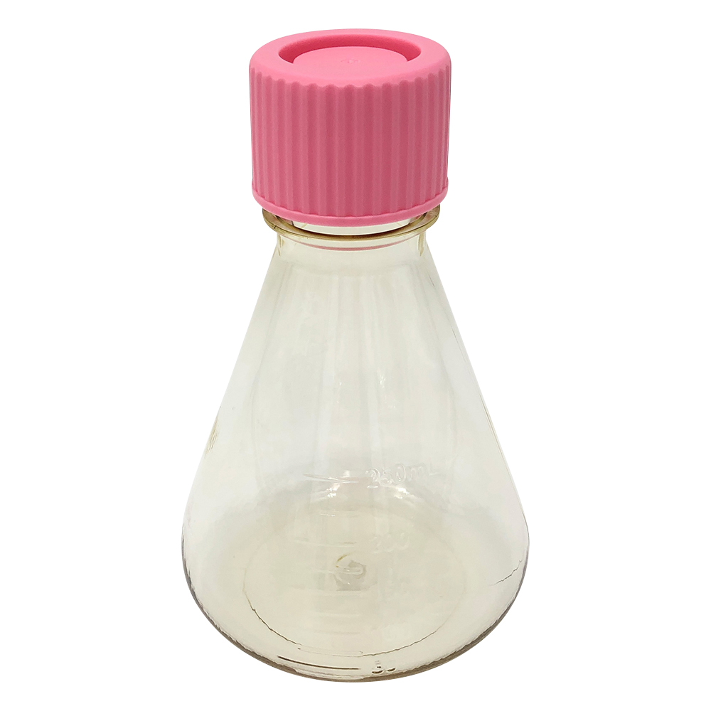 ビオラモディスポ滅菌三角フラスコ 250mL ノーマルキャップ 12個入 SEF250N
