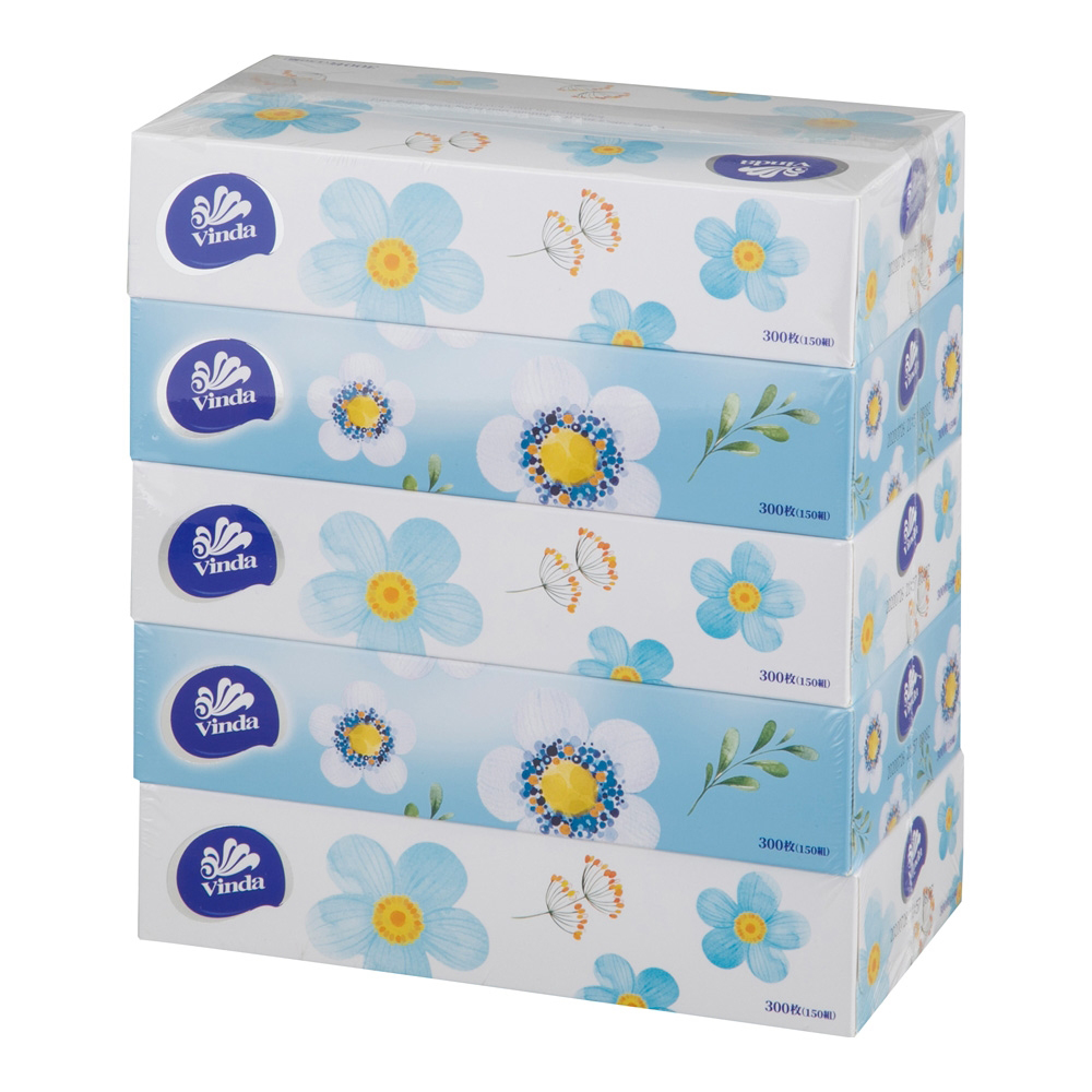 ティッシュペーパー　ＶＩＮＤＡＢＯＸ５個／箱