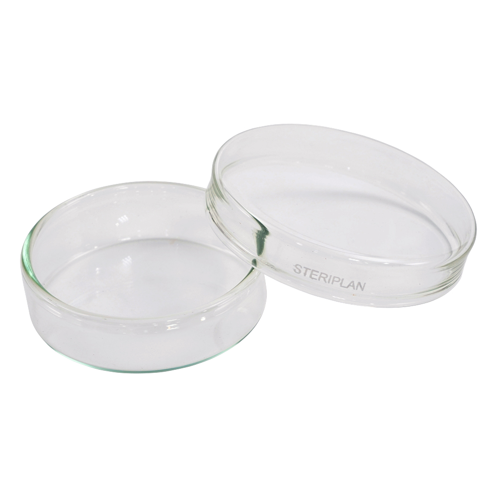 ﾍﾟﾄﾘﾃﾞｨｯｼｭ 237554008