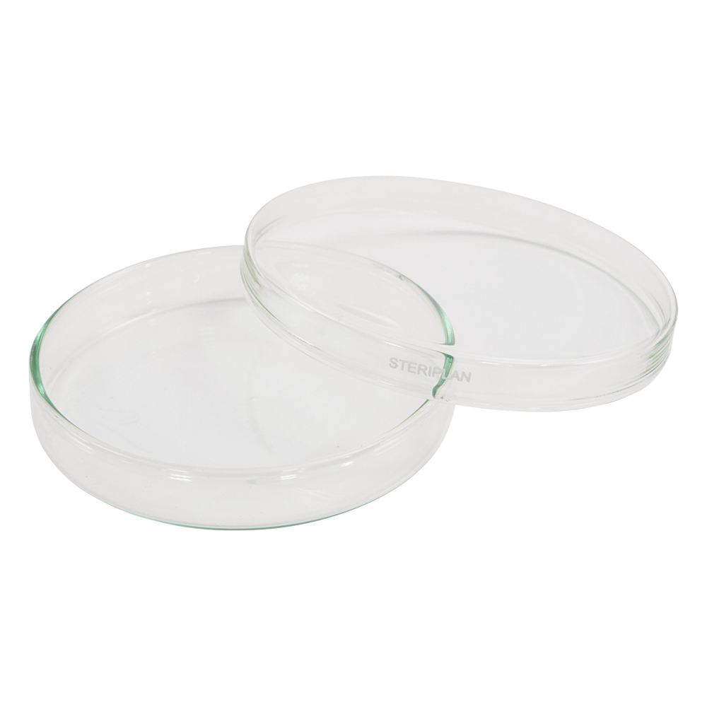 ﾍﾟﾄﾘﾃﾞｨｯｼｭ 1184071