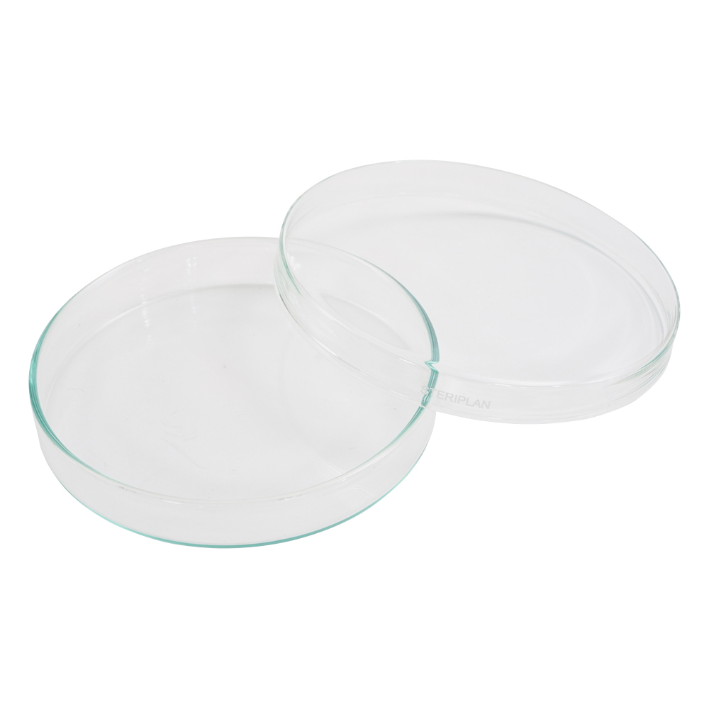 ﾍﾟﾄﾘﾃﾞｨｯｼｭ 237554608