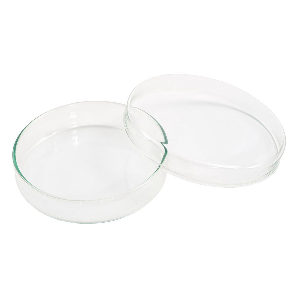 ﾍﾟﾄﾘﾃﾞｨｯｼｭ 237554805