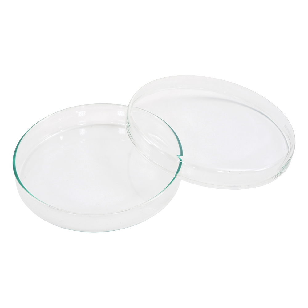 ﾍﾟﾄﾘﾃﾞｨｯｼｭ 237555107