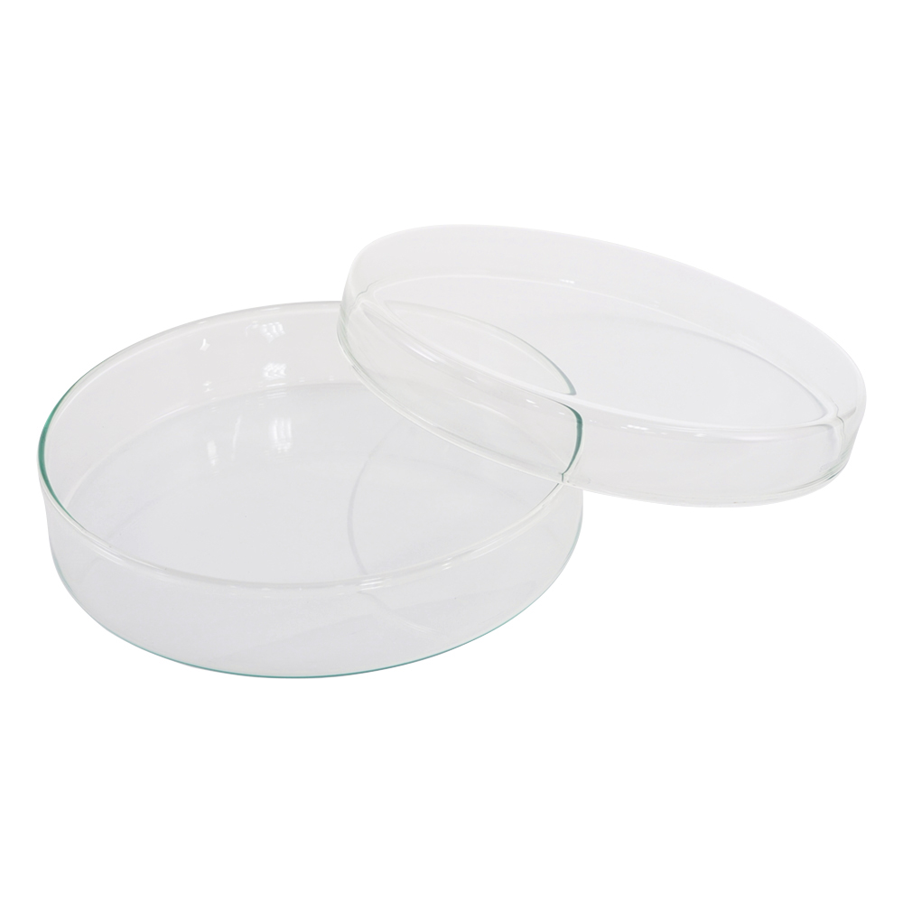 ﾍﾟﾄﾘﾃﾞｨｯｼｭ 237555604