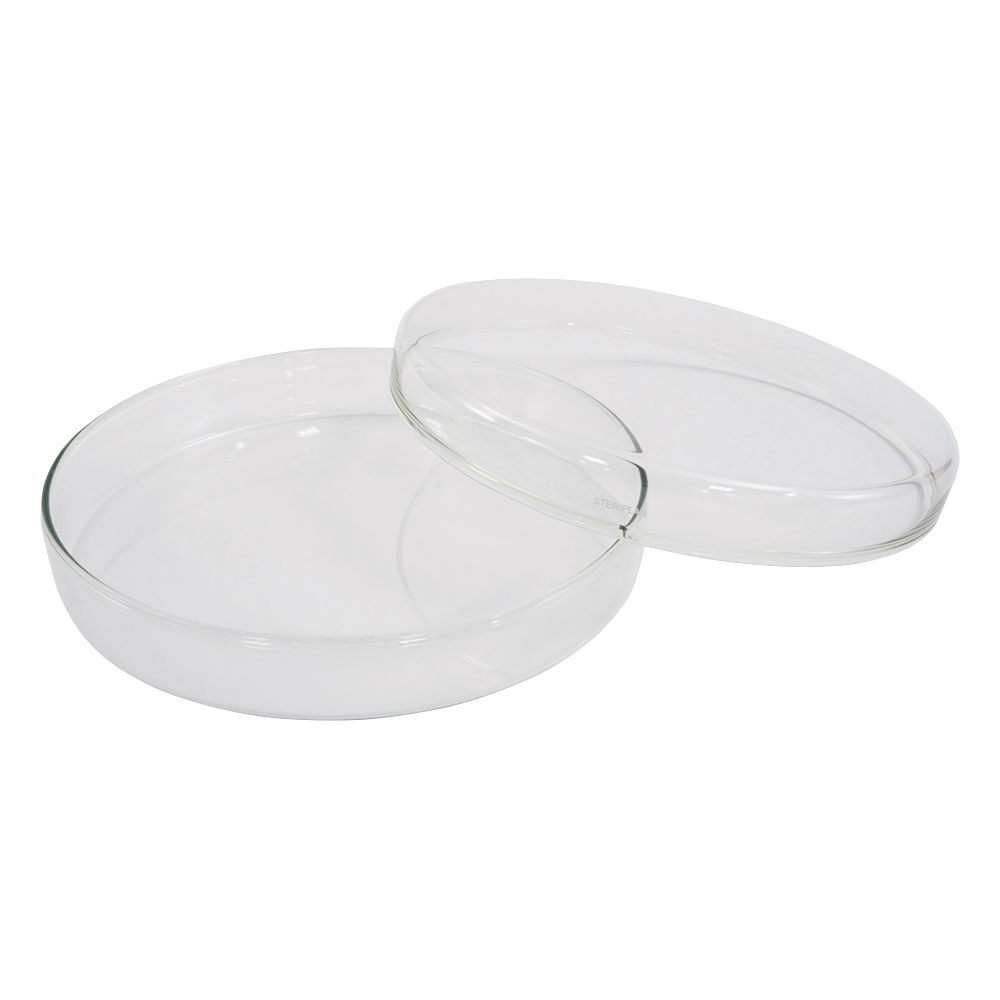 ﾍﾟﾄﾘﾃﾞｨｯｼｭ 237555904