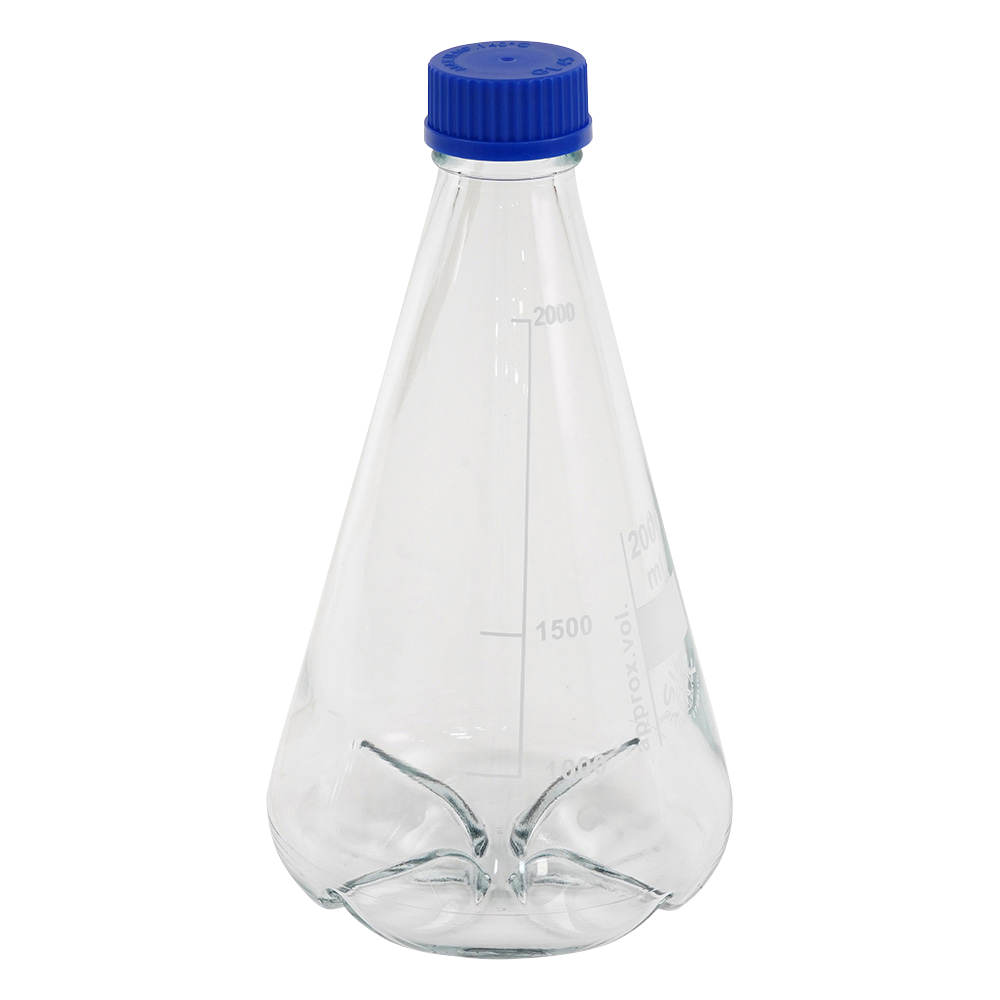 ﾊﾞｯﾌﾙ付三角ﾌﾗｽｺ 2000