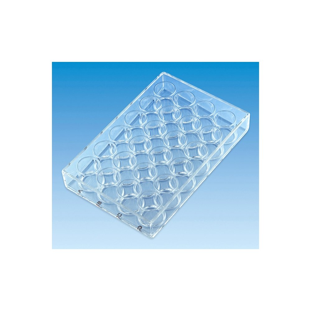 硝子マイクロプレート　ｍｉｐｂ２