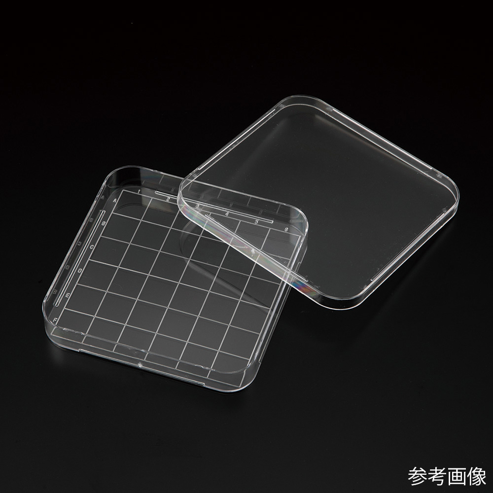 ビオラモスクエアペトリディッシュ　VSD-126　10枚/包×24包入