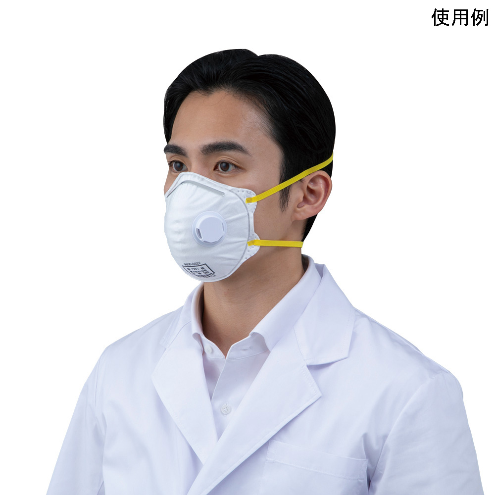 折り畳み式防じんマスク DS2 9600-DS2V 1箱（10枚入）