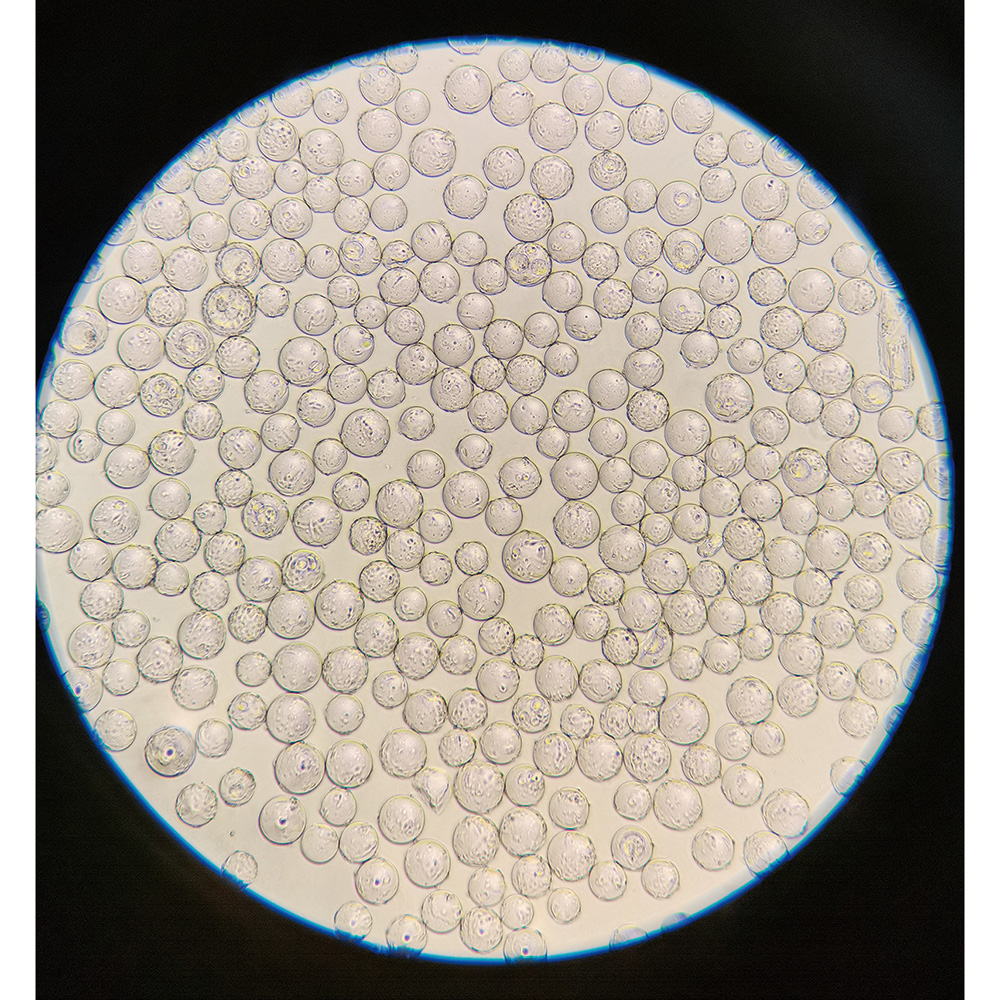 球体バイオキャリアー C100025　25g入