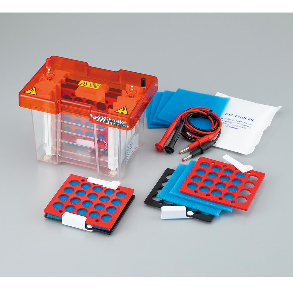 ブロッティング装置 MSB10