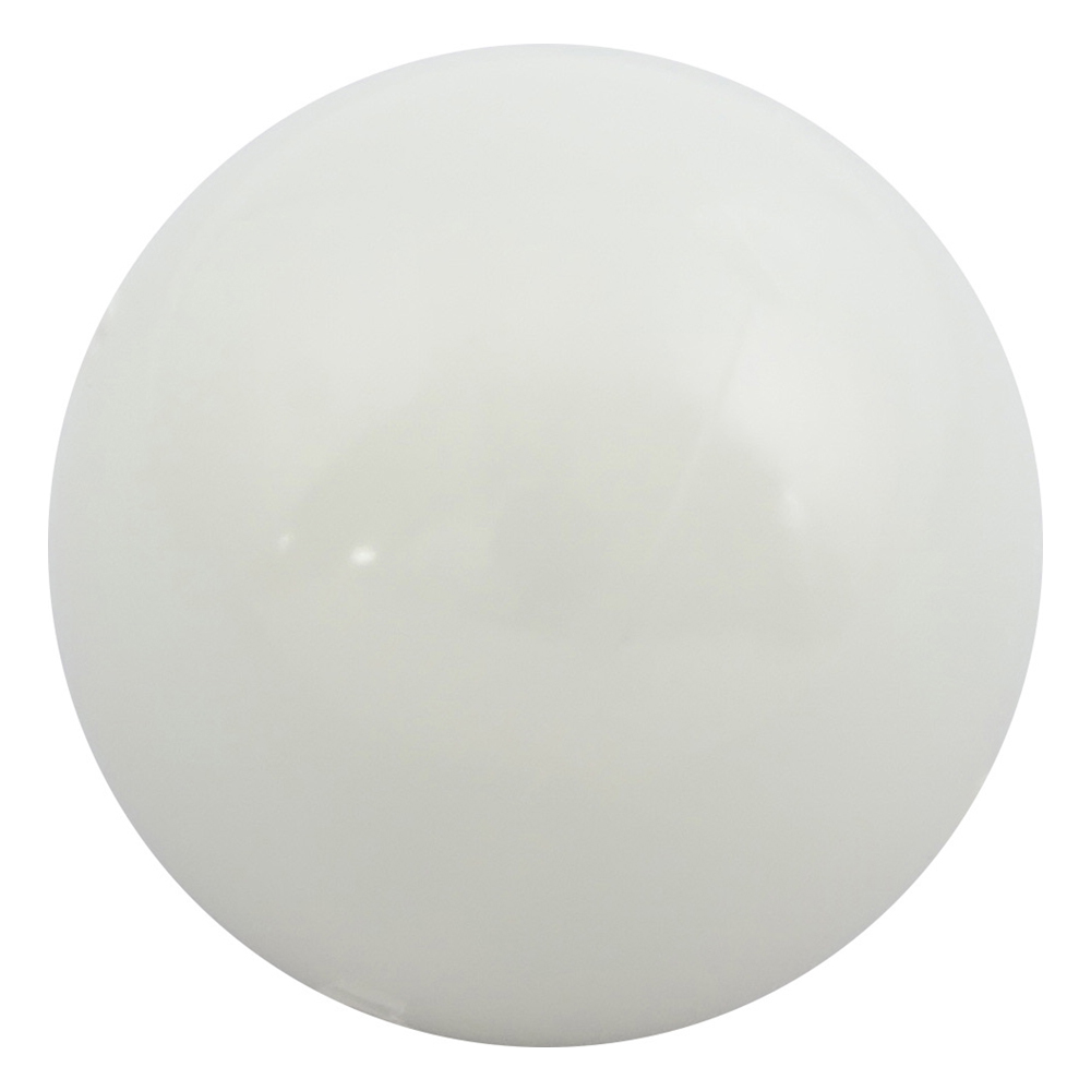 ナイロンボール（鉄心入） φ20mm