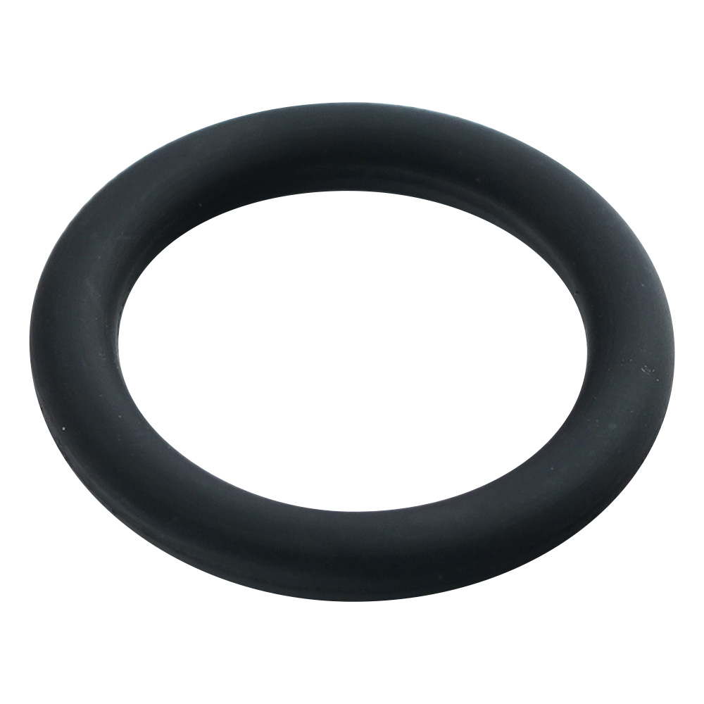 キングパーフロⅠOリング 黒 P-10