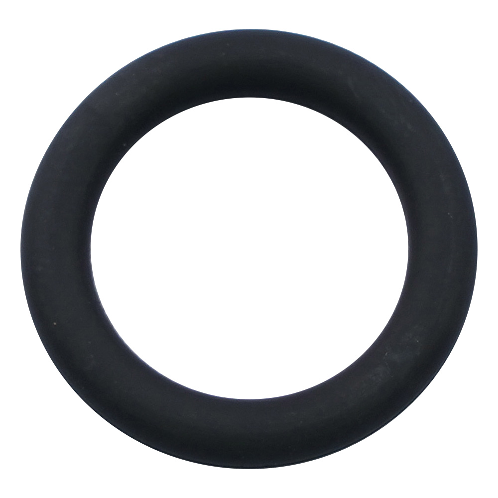 キングパーフロⅠOリング 黒 P-11
