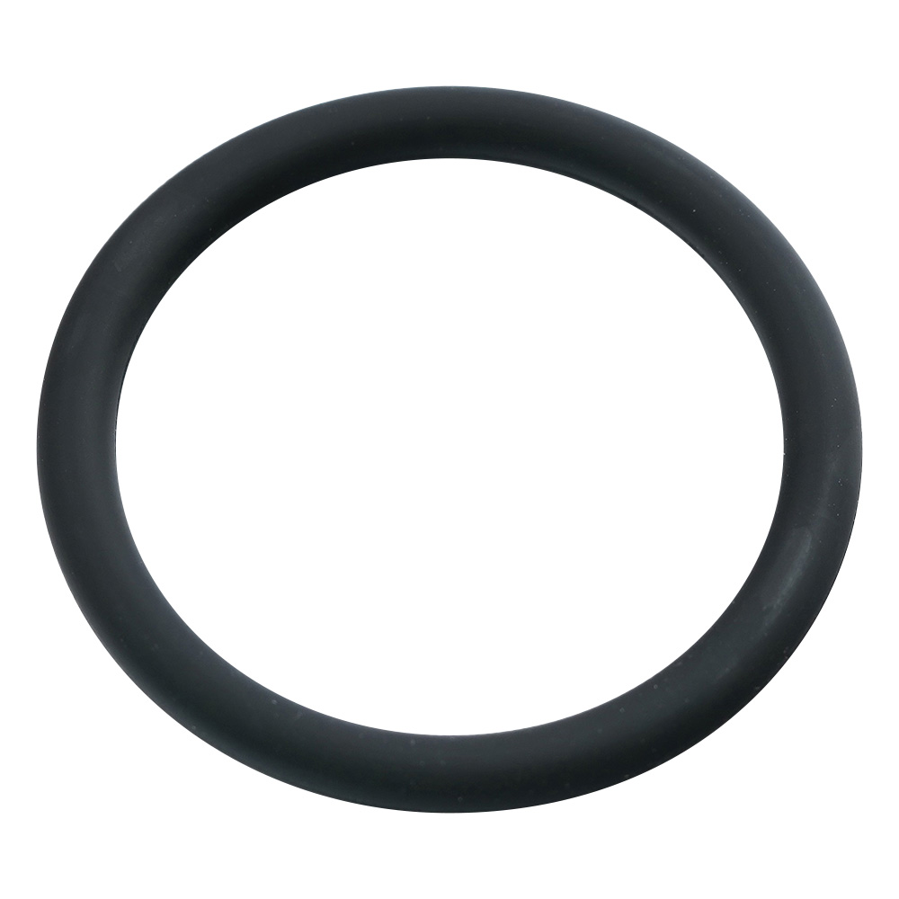 キングパーフロⅠOリング 黒 P-20