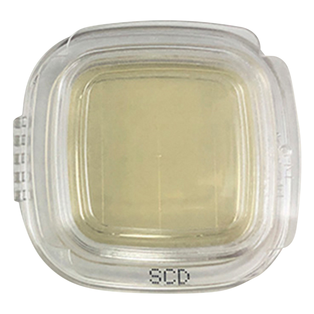 細菌検出用培地 DDチェッカー （SCD寒天）1ケース（20枚×2箱入） 04320