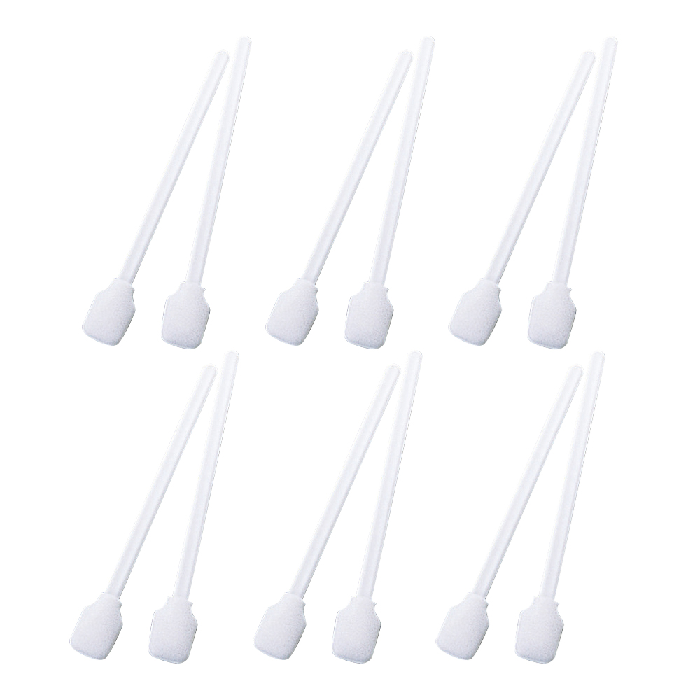 クリーンスティック 25入 CT813