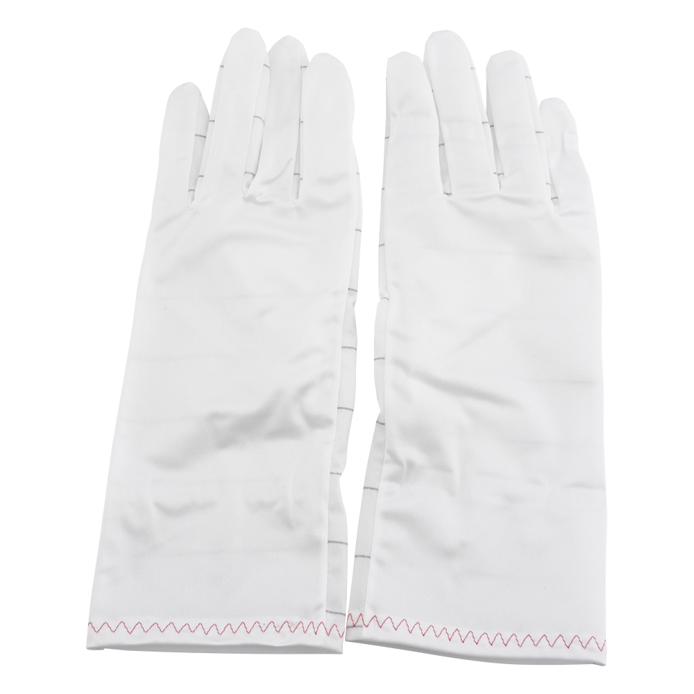 無塵手袋 L 10双入 4096ロング