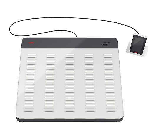 フラットスケール 検定付 3級 seca651