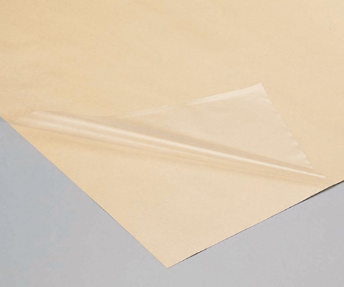 キングFEP粘着シートフィルム 1×1m 1-100