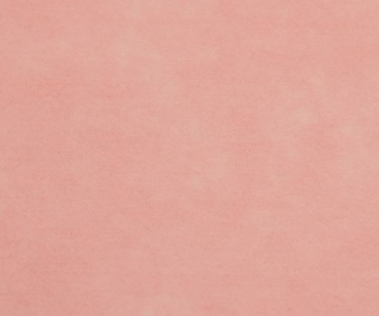 ディスポ防炎カーテン 面ファスナー式125 ピンク