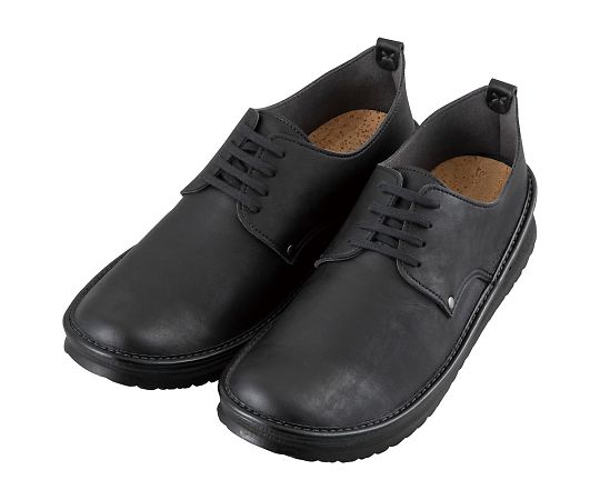 ドクターシューズ 26.0cm WN 26