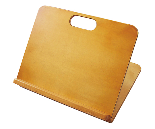 多目的リハビリボード 5100169