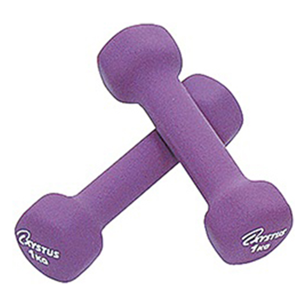 ラバーコートダンベル 1kg 1組（2本入） H-9055(紫)