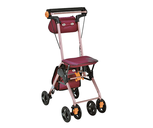 テイコブナノンDX ワインレッド CPS02WN