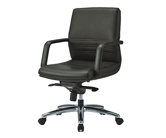 ドクターチェア ミドルバック TS201-LBK