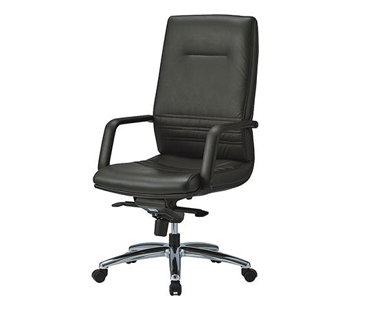 ドクターチェア ハイバック TS206-LBK