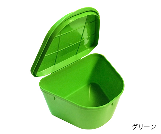 入れ歯ケース （書き込みスペース付き） グリーン 200個 H980-92