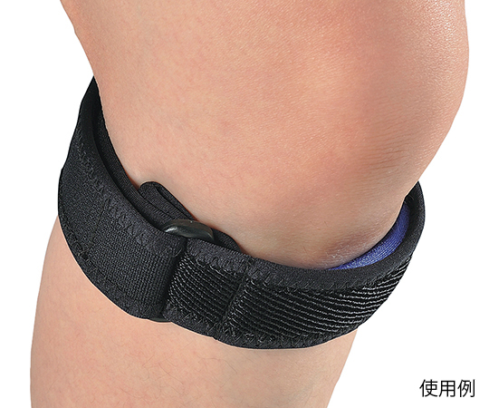 シュラッテルバンド 19851