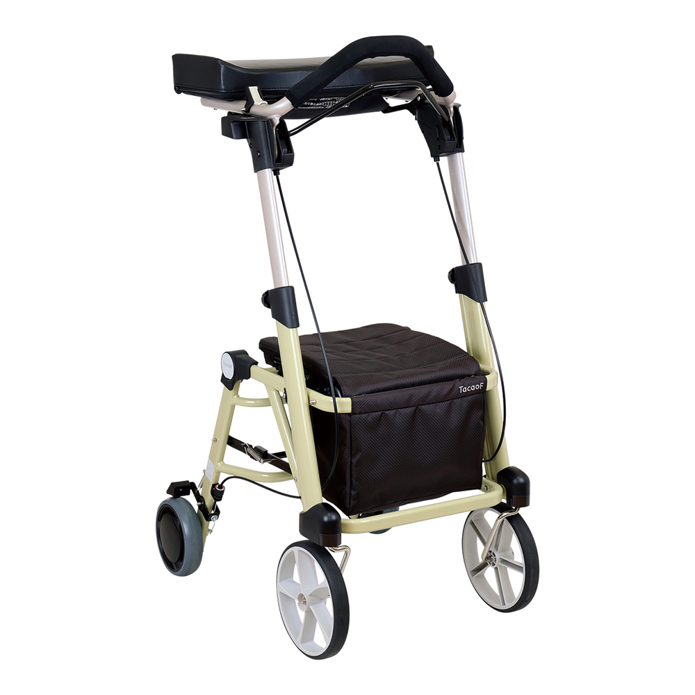 シトレアＲ　ＷＡＷ２５