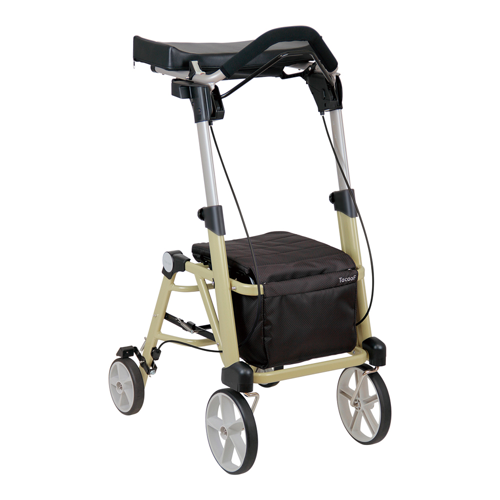 シトレア　ＷＡＷ２３