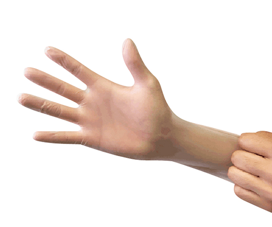 プラスチックグローブ（パウダーフリー） L 200枚入 2135