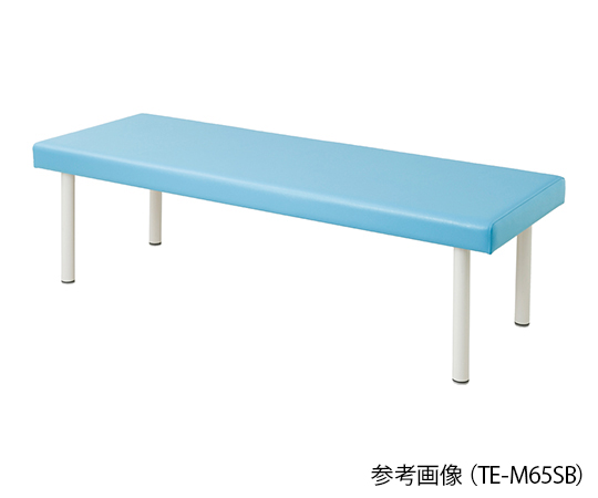 カラフル診察台 600×1900×500mm スカイブルー TE-L6019SB