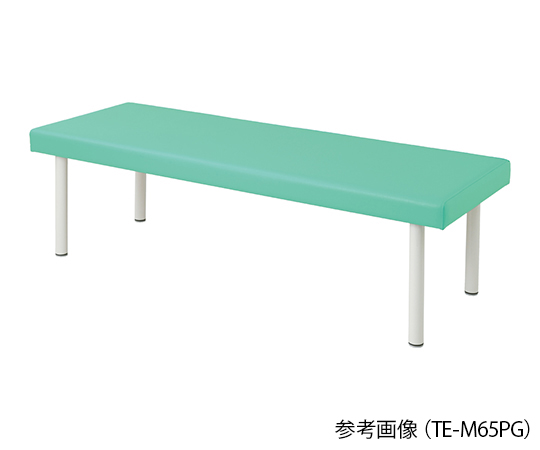 カラフル診察台 600×1900×500mm ライトグリーン TE-L6019PG