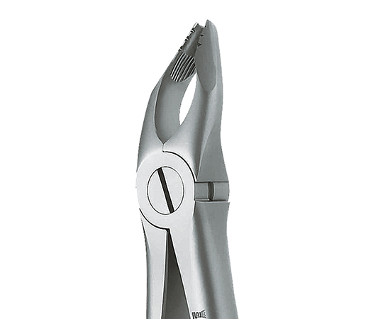抜歯鉗子 ROBA 上顎用 #35N h1223507z