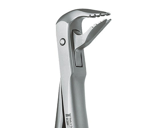 抜歯鉗子 ROBA 下顎用 #36M h1223608z