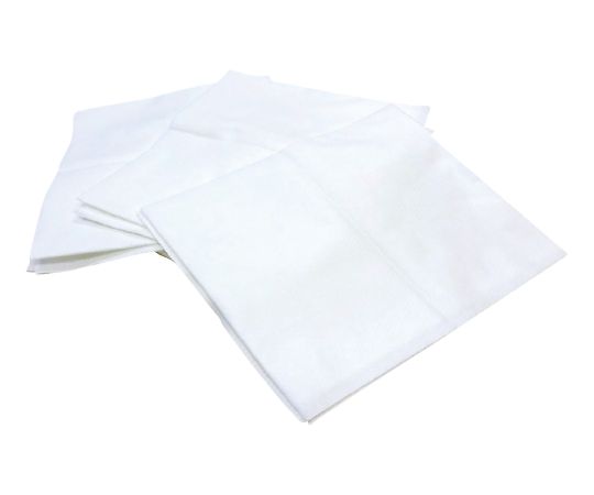 使い捨てバスタオル フキーナー 1袋（10パック入） 1P