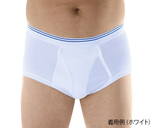 失禁用パンツ（男性用少量タイプ） グレー L M100GRYLGEA