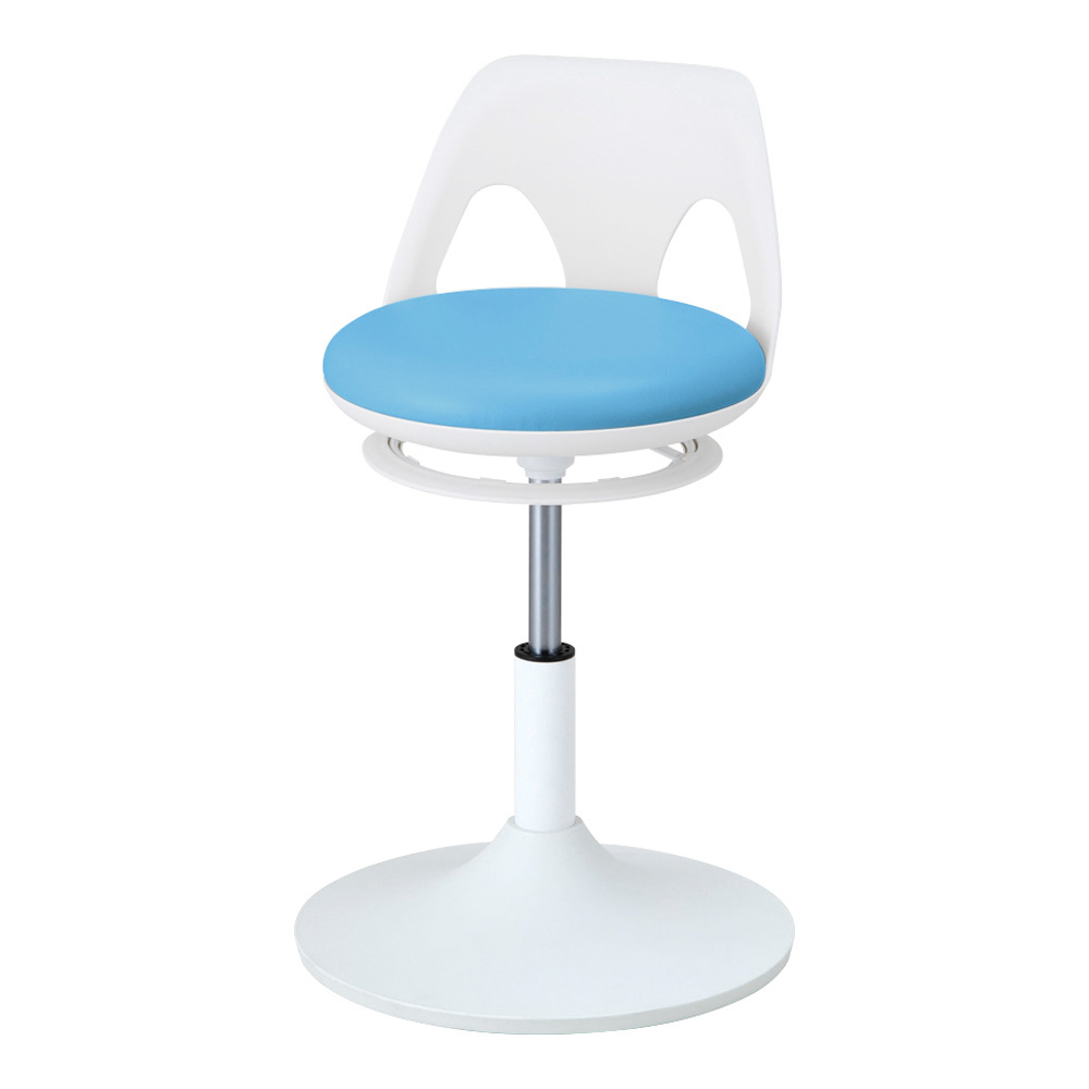 クランケチェア ラクーン ブルー NK-B