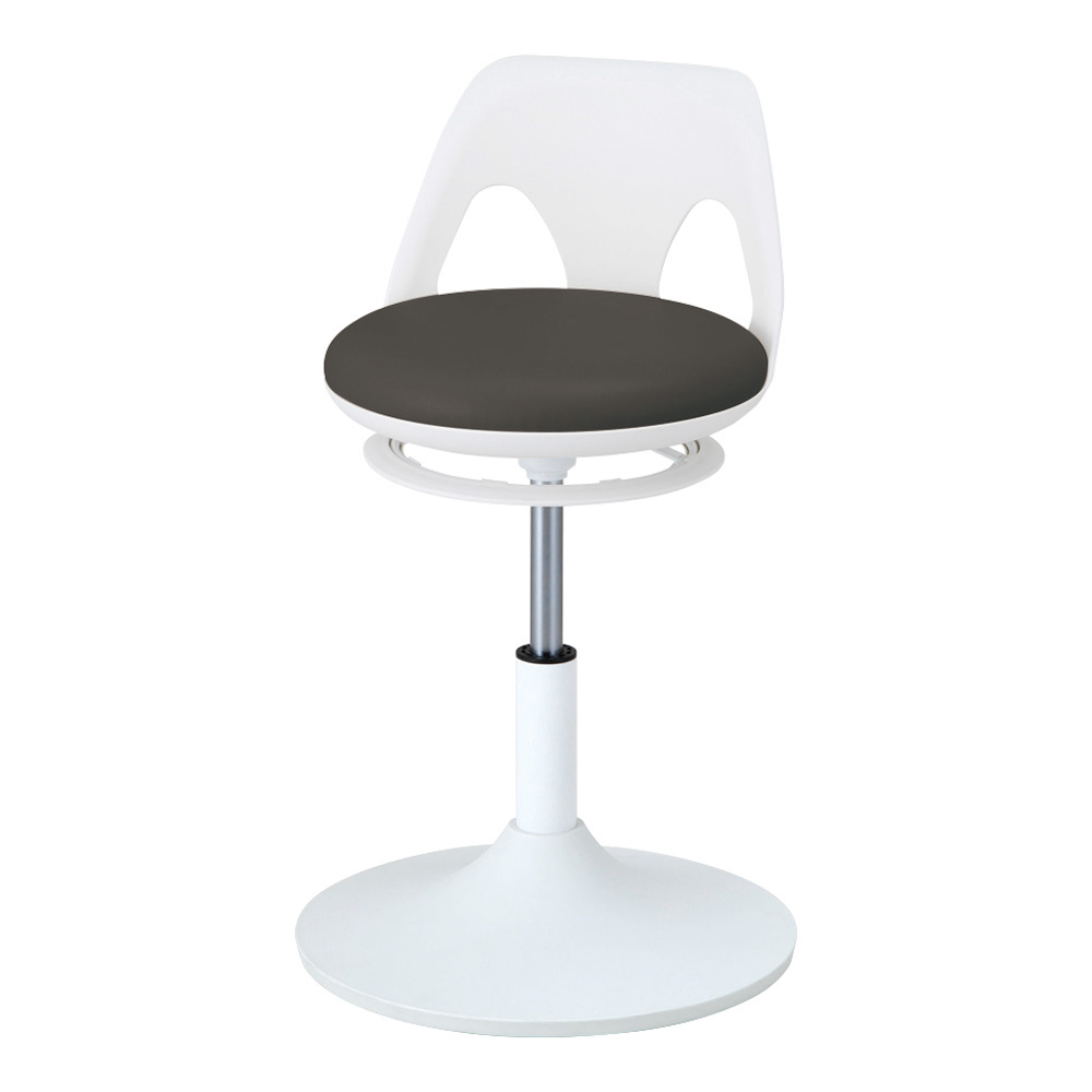 クランケチェア ラクーン ブラック NK-BL